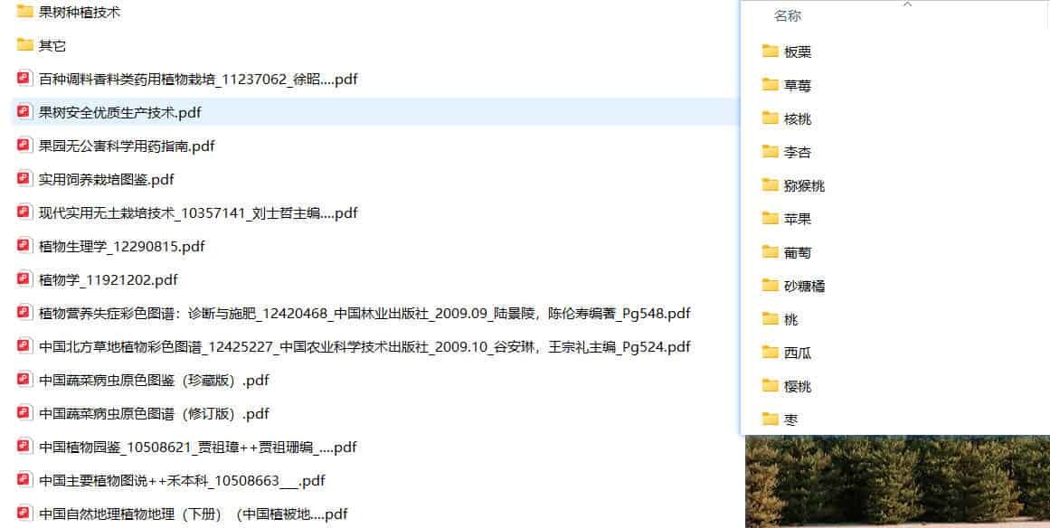 返乡就业之果树种植技术书籍-神游资源网-第4张图片 返乡就业之果树种植技术书籍-神游资源网-第4张图片