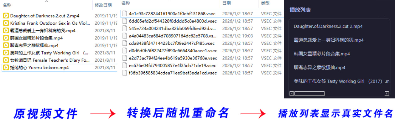 老司机隐私播放器SecureVault Player V0.8.9-神游资源网-第5张图片