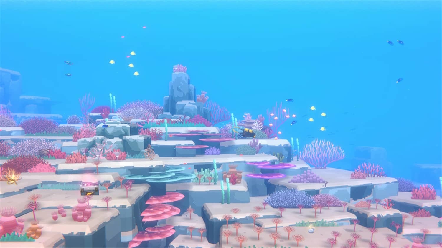 《潜水员戴夫》v1.0.5.1679中文版-神游资源网-第9张图片