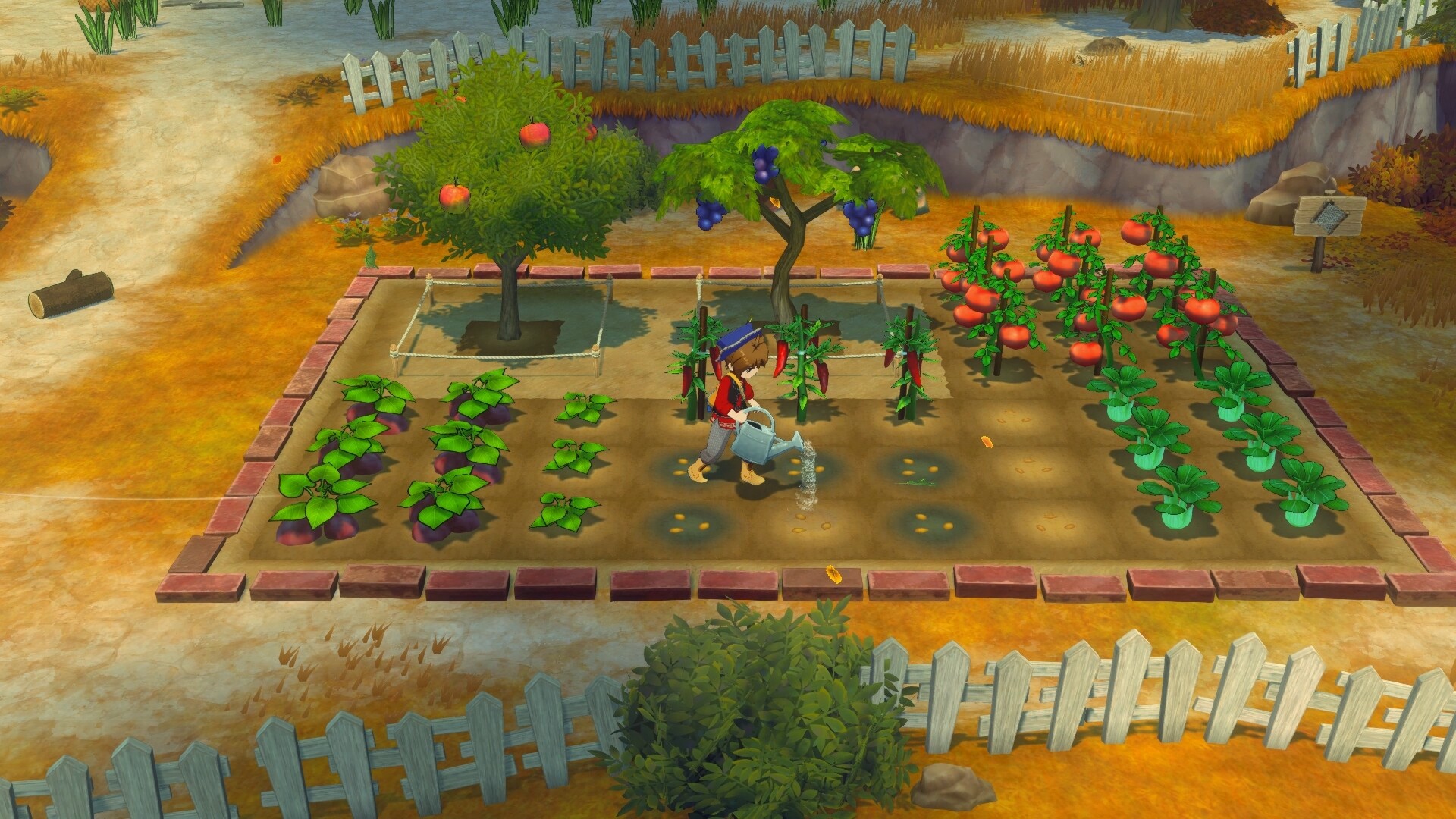 《牧场物语 来吧!风之繁华集市》v1.0.4中文版-神游资源网