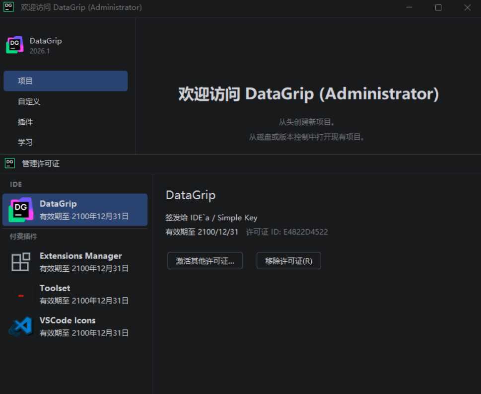 DataGrip v2026.1.0 高级版-神游资源网